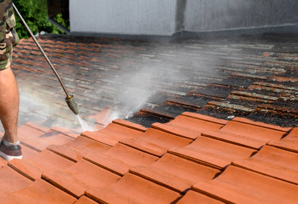 Best Pressure Washing Patio  in Weimar, TX