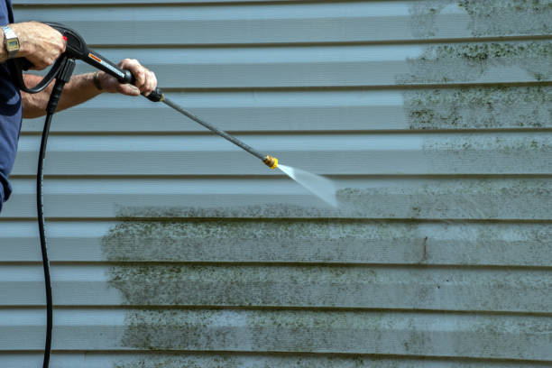 Best Pressure Washing Driveway  in Weimar, TX